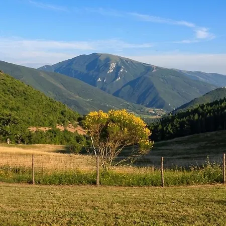 Vista Del ファームステイ *